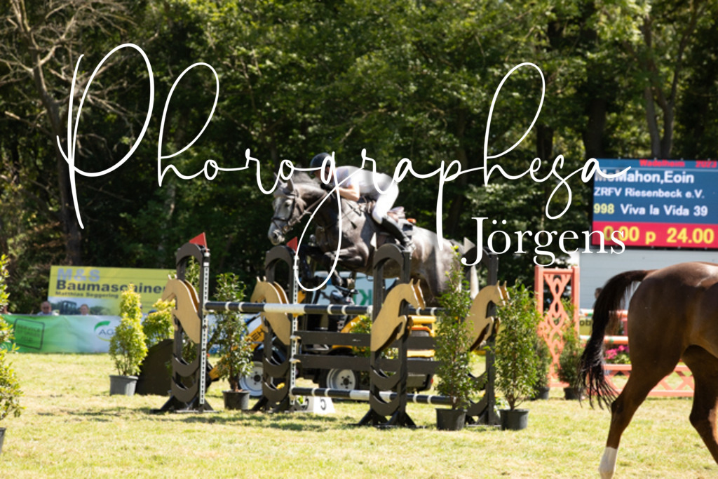 IMG_9091 | photographesa-joergens - Realisiert mit Pictrs.com