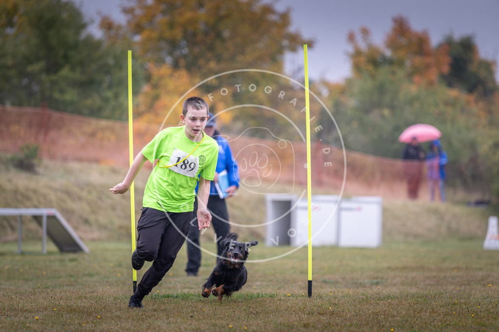 Pfotenfotografie_DV3A0223 | Hundefotografie, Tierfotograf, Pfotenfotografie, Fotoshooting Hund, Hunde Portrait, Hundesport, Hundeportraits, Heideshooting, Hunde, Sportfotograf, Hundefotograf, Turnierhundsport, THS,  - Realisiert mit Pictrs.com