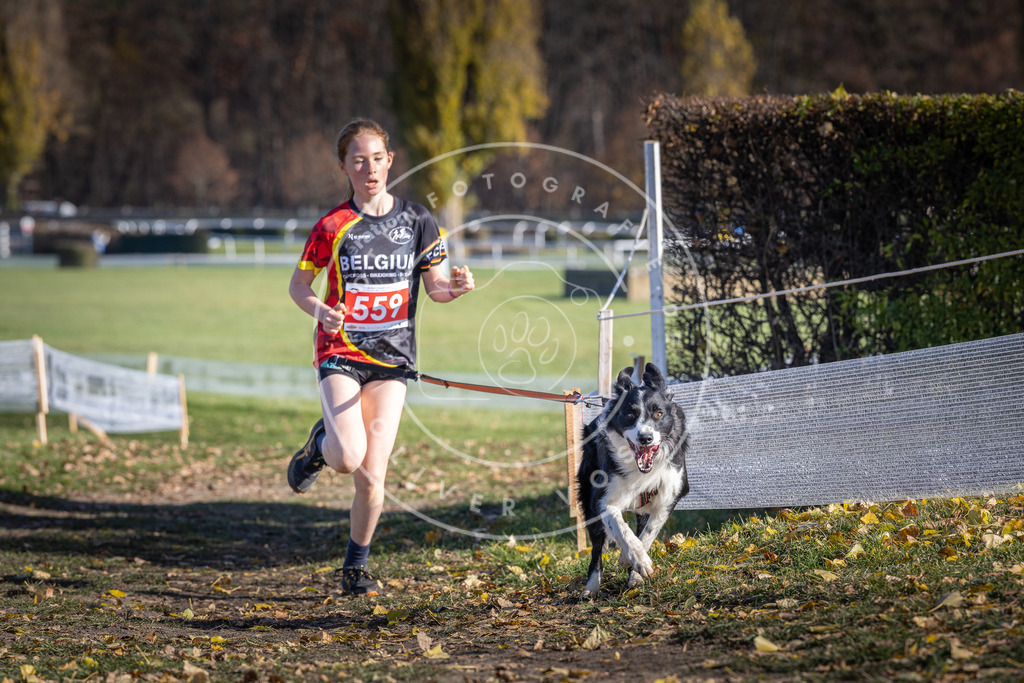 CaniXpix_DV3A8659 | Hundefotografie, Tierfotograf, Pfotenfotografie, Fotoshooting Hund, Hunde Portrait, Hundesport, Hundeportraits, Heideshooting, Hunde, Sportfotograf, Hundefotograf, Turnierhundsport, THS,  - Realisiert mit Pictrs.com