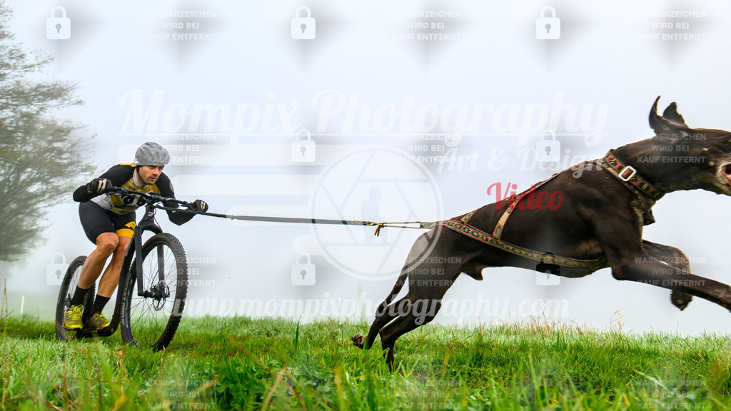 MompixPhotography_20TSB_E5_DS1-5 | PayLife