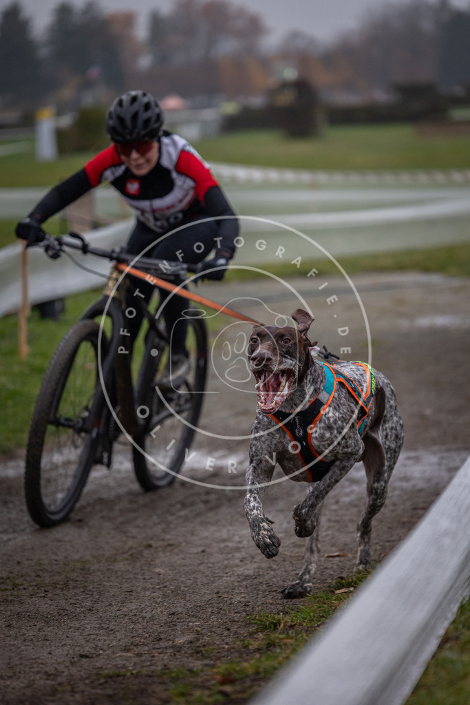 CaniXpix_0L8A1219 | Hundefotografie, Tierfotograf, Pfotenfotografie, Fotoshooting Hund, Hunde Portrait, Hundesport, Hundeportraits, Heideshooting, Hunde, Sportfotograf, Hundefotograf, Turnierhundsport, THS,  - Realisiert mit Pictrs.com