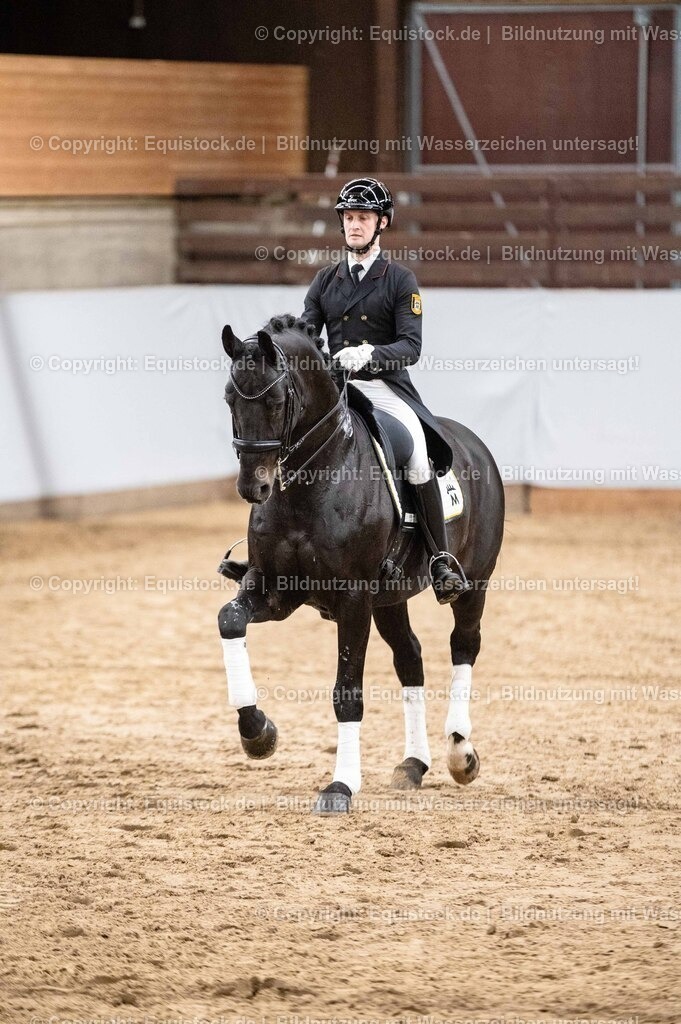 20260307_Hengstvorstellung-Marbach_0511 | equistock