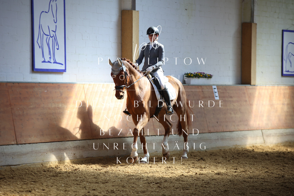 IMGT7359 | pl-fotografie