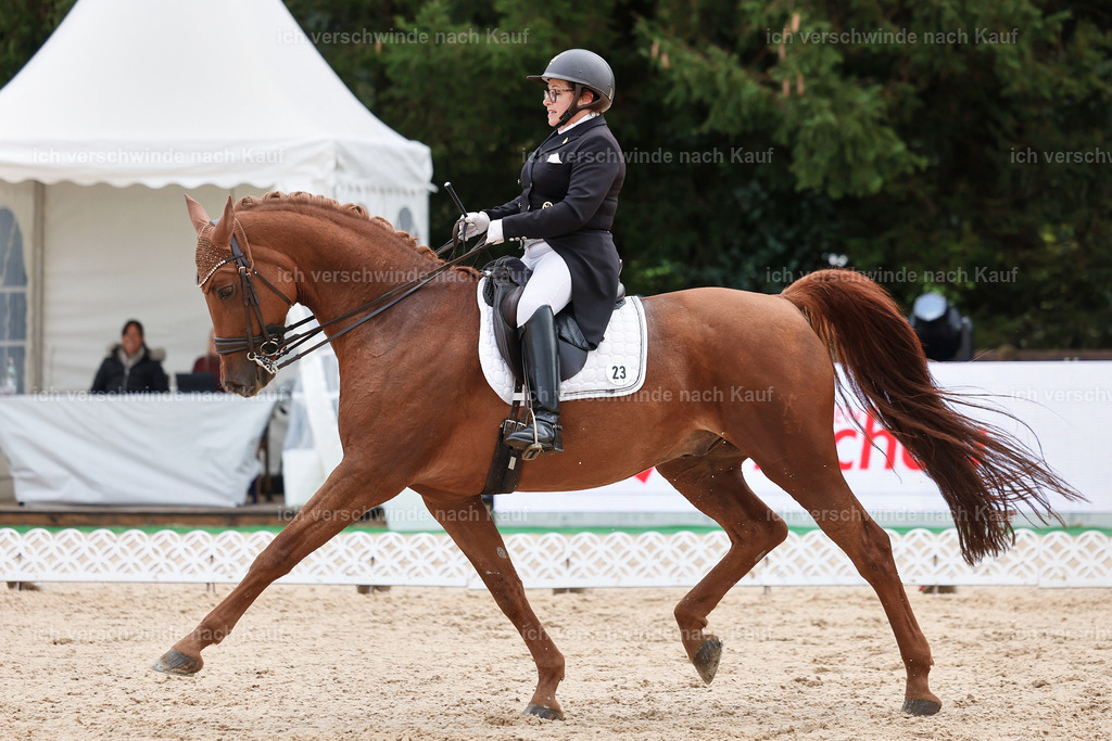 07-023-DRESSUR  S___  -StoibPH-5039 | working equitationturnier fotograf videograf stoibphotography marixx film working equitation deutschland reitsport turnierfotografie eventfotografie equestrian events