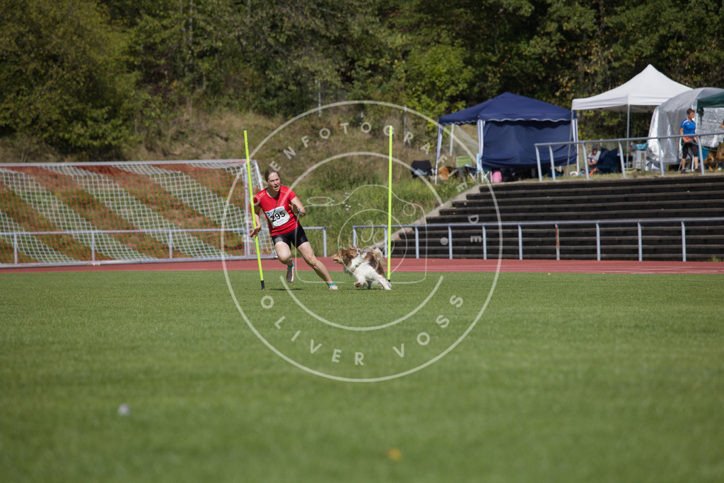 0L8A7059 | Hundefotografie, Tierfotograf, Pfotenfotografie, Fotoshooting Hund, Hunde Portrait, Hundesport, Hundeportraits, Heideshooting, Hunde, Sportfotograf, Hundefotograf, Turnierhundsport, THS,  - Realisiert mit Pictrs.com