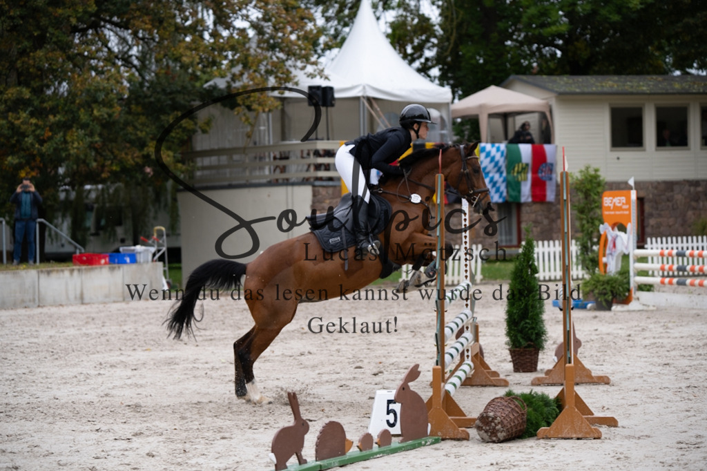 A7V07962 | Pferdefotograf