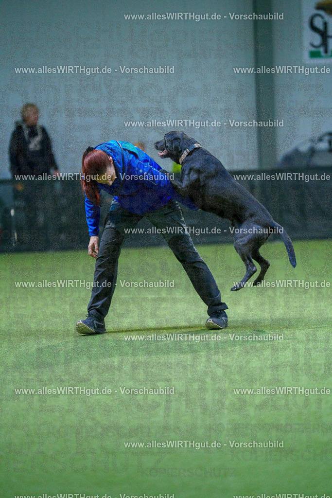 7R502521 | Professionelle Tierfotografie in Mönchengladbach von Daniel Wirth (allesWIRTHgut). Liebevolle & natürliche Bilder von Hunden & Katzen für unvergessliche Erinnerungen.