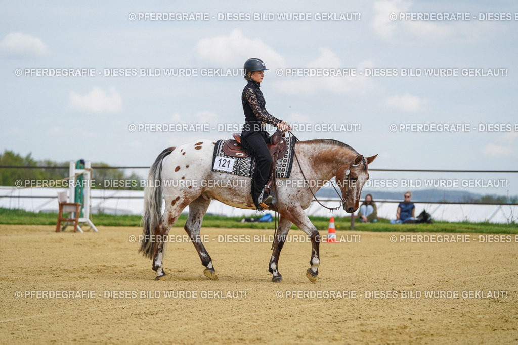 DSC05633 | Pferdegrafie