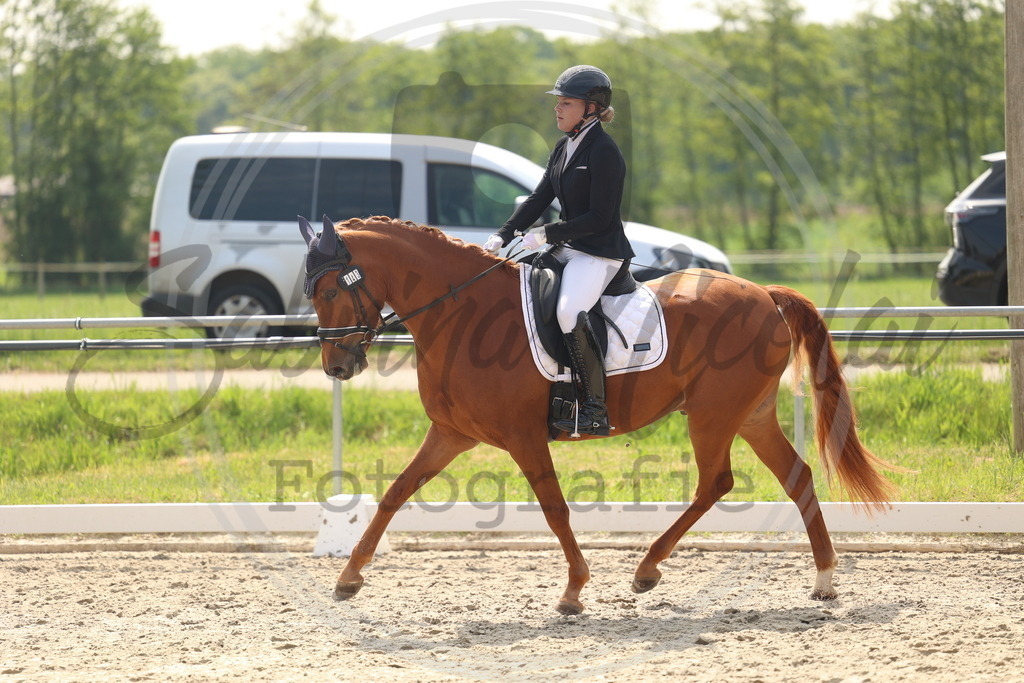 994A6762 | sabrinanicolaifotografie - Realisiert mit Pictrs.com