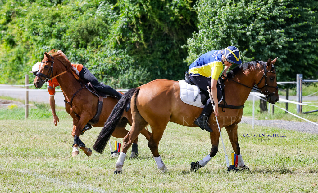 1B3A4732 | Reitsport Reiten