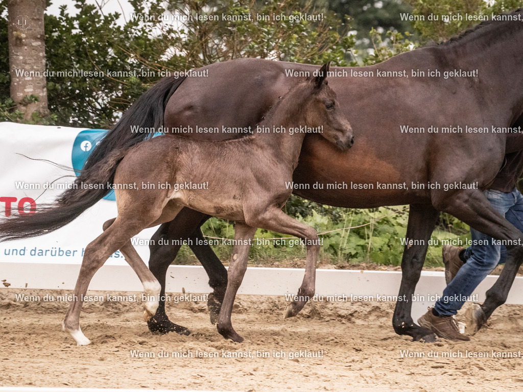 A10I5325 | photographylinaismer - Realisiert mit Pictrs.com