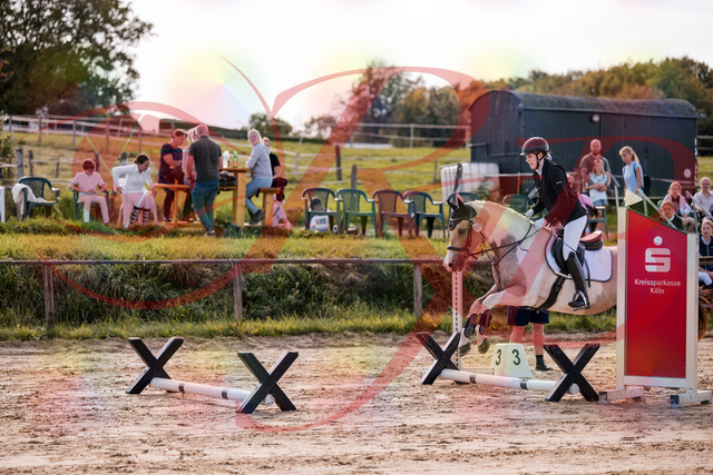 2026_10_03_Siefer-Hof_144236_Z81_15333610 | Professionelle Reitsport-, Turnier- und Eventfotografie von Robert Broda. Galerien mit ausgewählten und bearbeiteten Bildern direkt online ansehen und bestellen.