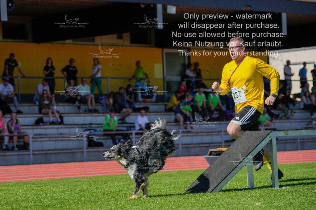 Sonntag_VK Hindernis (249 von 671) | stephaniefillaphotographie - Realisiert mit Pictrs.com