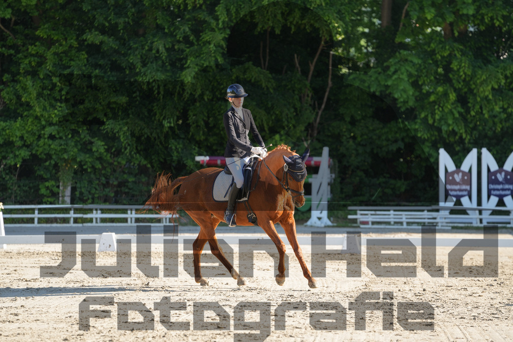 DSC02747 | Julian Held Fotografie - Realisiert mit Pictrs.com