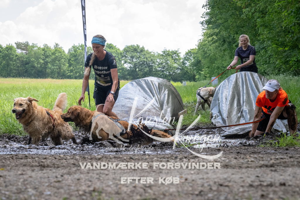 1145_ZZ94360 | kk-dogfotos