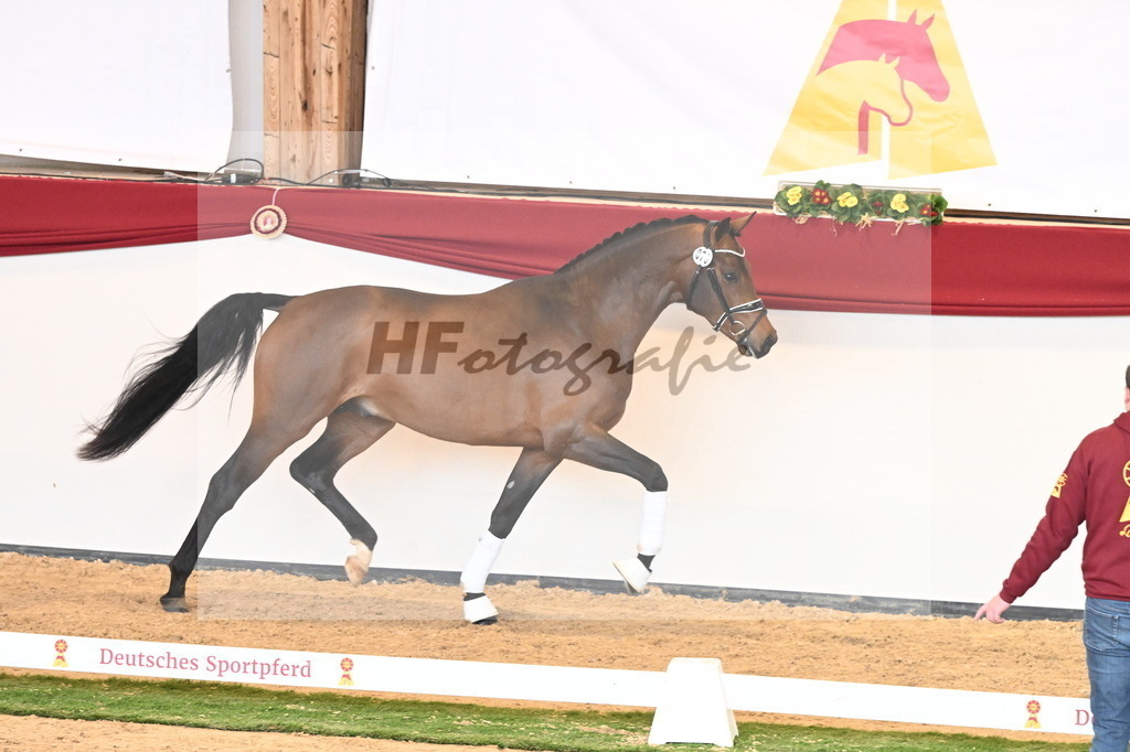 Kat.-Nr. 73 v. Va Bene_Kuntz_2240976 | hf-fotografie - Realisiert mit Pictrs.com