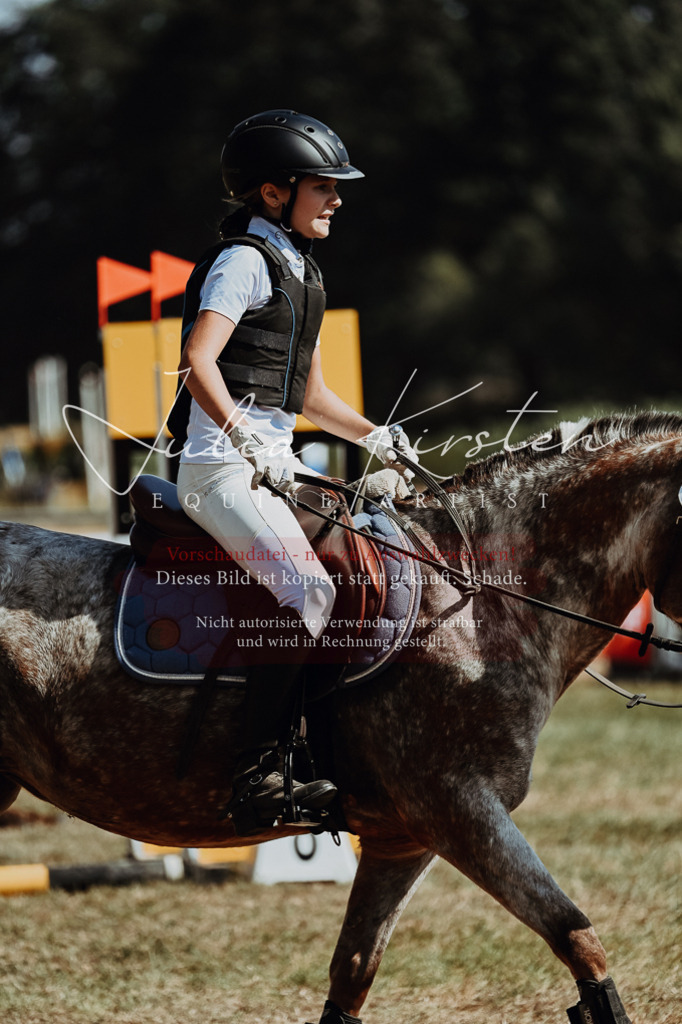 DSC_9767 | Pferde- und Turnierfotografie in Westsachsen. Pferdeportraits, Auftragszeichnungen und intuitive Kunst.
