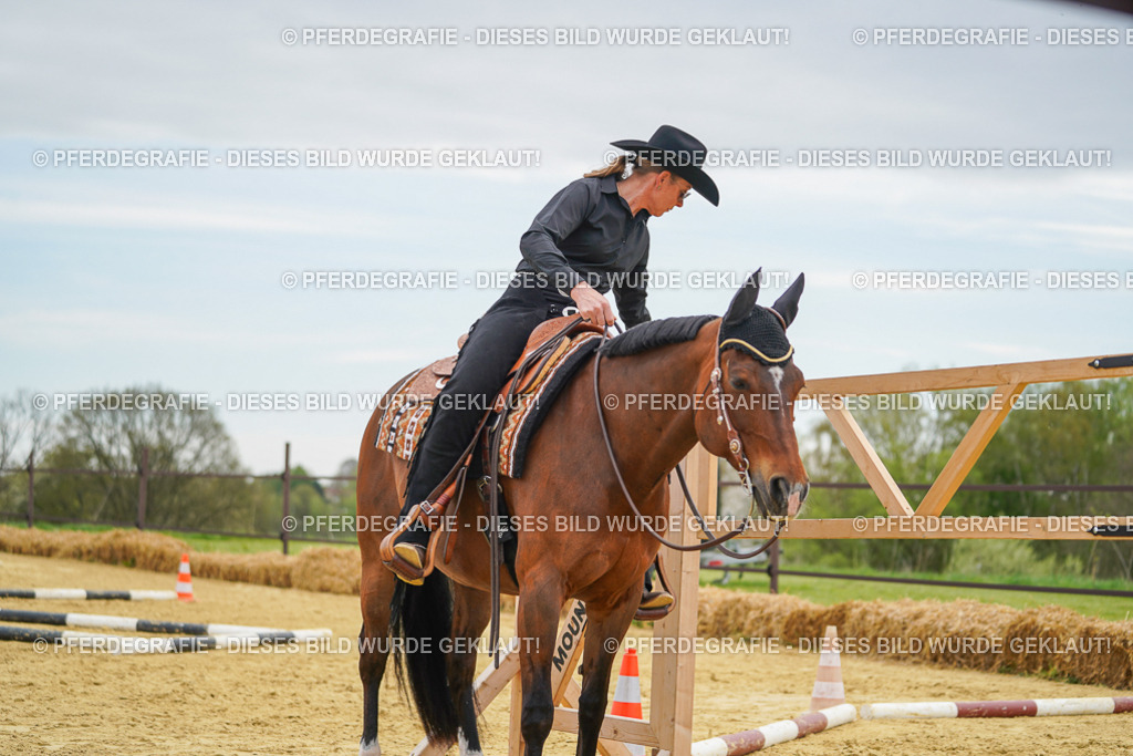 DSC02955 | Pferdegrafie