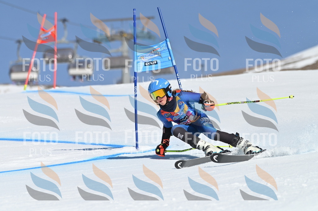 BGV_8115 | holidayphoto