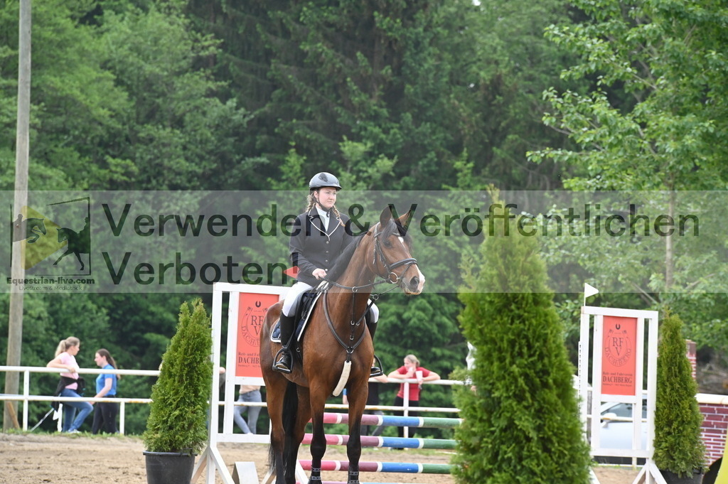 DSC_8124 | equestrian-live-com