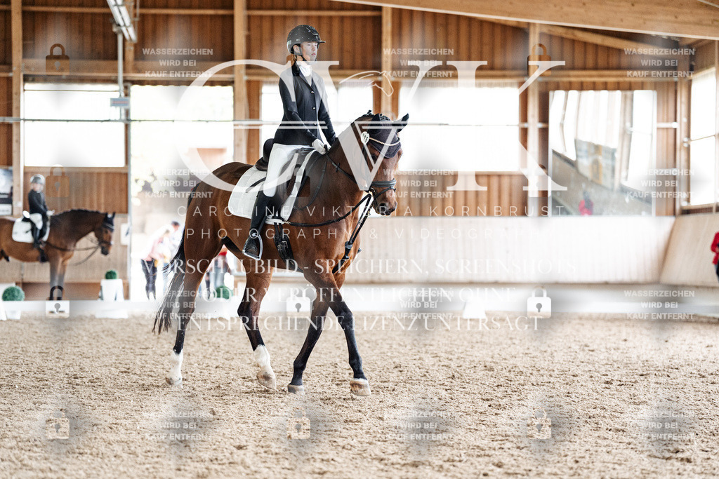 CK900681 | Turnierfotografie Pferdefotografie Trier Rheinland-Pfalz Pferdesport Reitsport Tierfotografie Sportfotografie Pferdevideo Pferdevideografie Equestrianvideography equestrianphotography  - Realisiert mit Pictrs.com