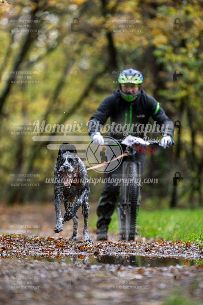 MompixPhotography_Bischwiller23_DS1-9 | PayLife