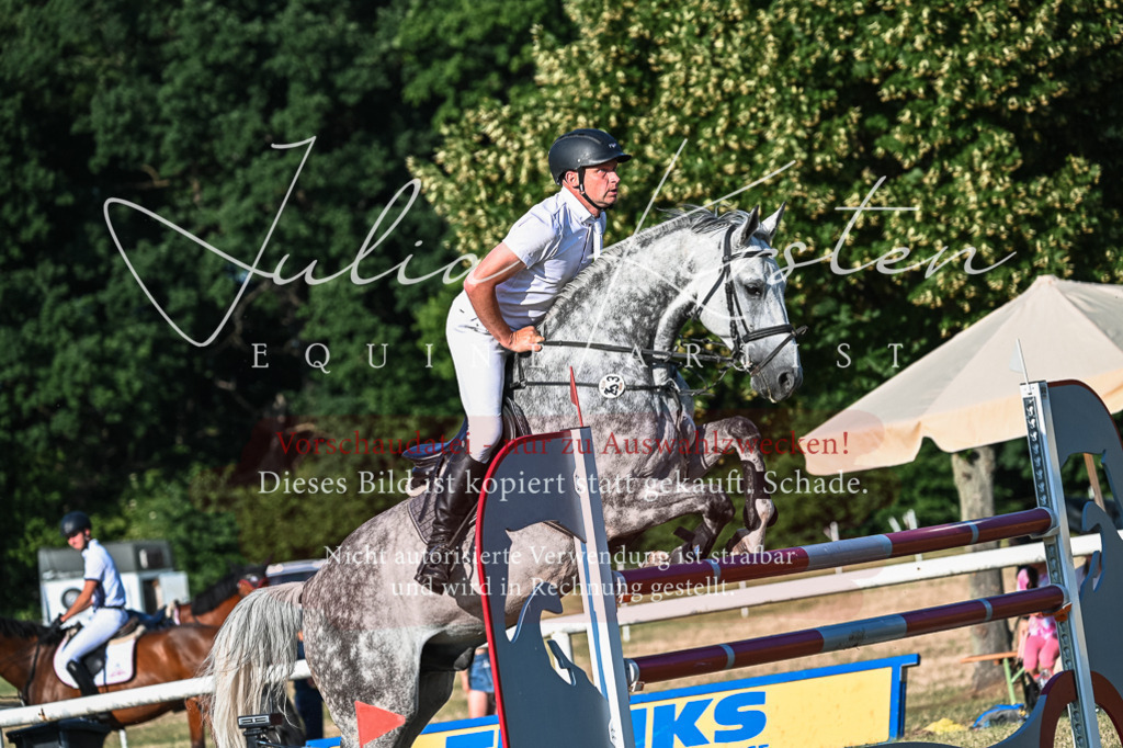 DSC_3043 | Pferde- und Turnierfotografie in Westsachsen. Pferdeportraits, Auftragszeichnungen und intuitive Kunst.