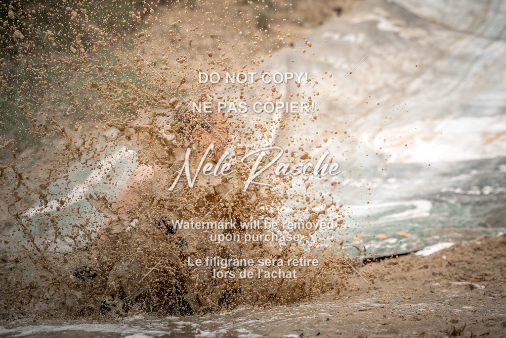 nelerasche_sa1230-1300_252 | nelerasche