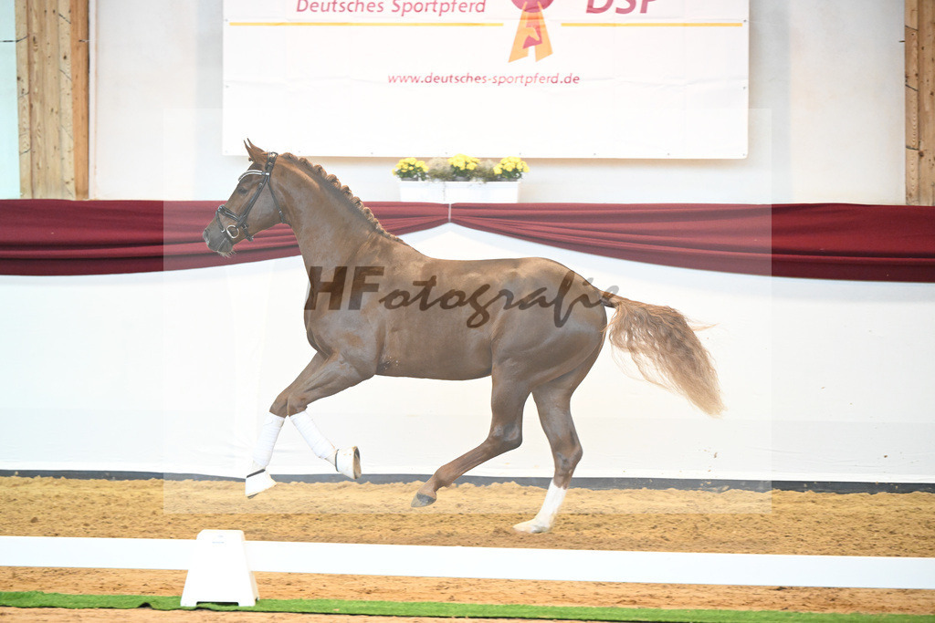 Kat-Nr. 74 v. Le Formidable_Maier_66220347 | hf-fotografie - Realisiert mit Pictrs.com