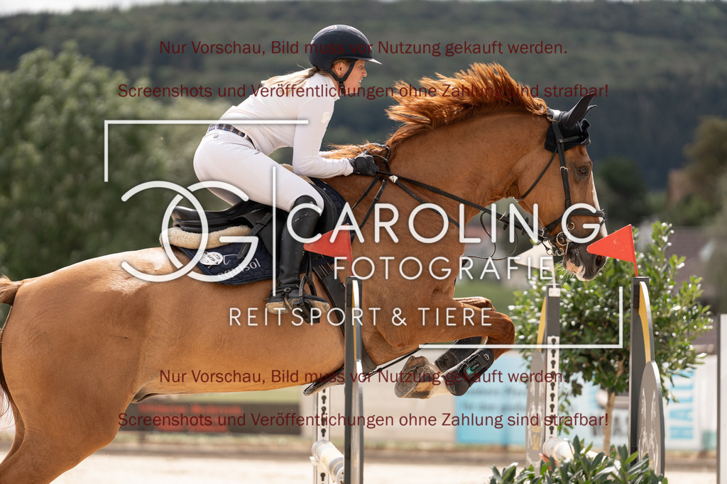 DSC06419 | Springturnier_Teamchallege_Talheim_2026, Clarissa_Schwär, Cascasall_2