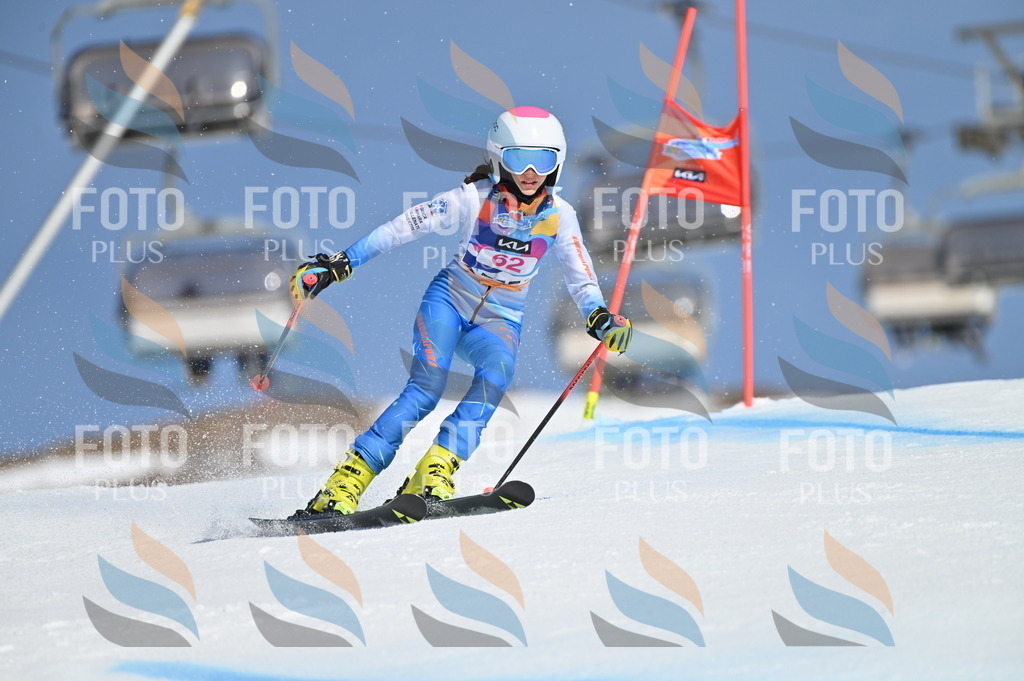 BGV_8763 | holidayphoto