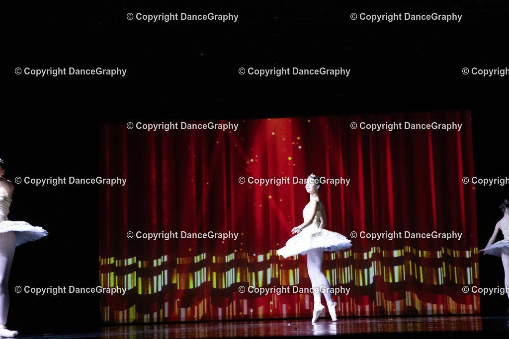 GPHY6850 | DanceGraphy - Realisiert mit Pictrs.com