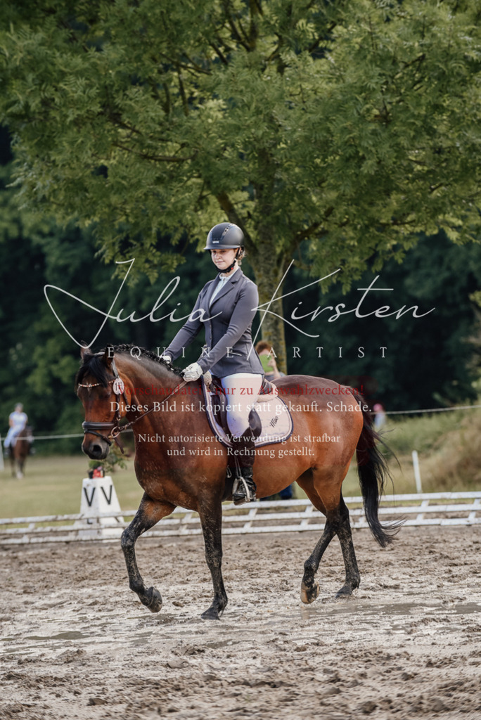 DSC_8326 | Pferde- und Turnierfotografie in Westsachsen. Pferdeportraits, Auftragszeichnungen und intuitive Kunst.