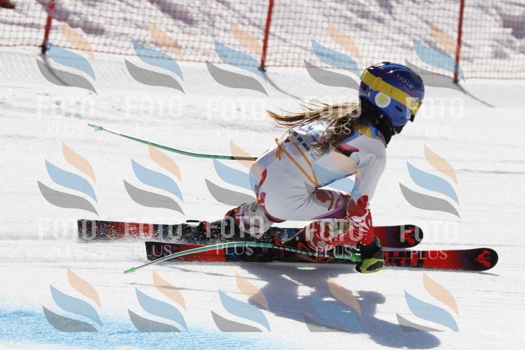 _U3G9514 | holidayphoto