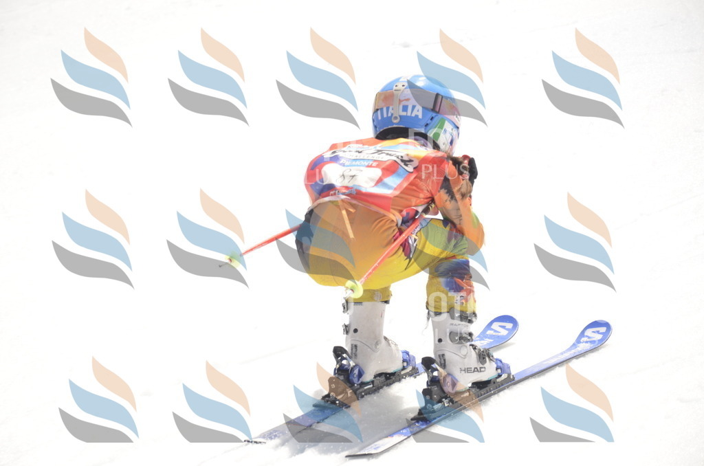 _ELE9256 | holidayphoto