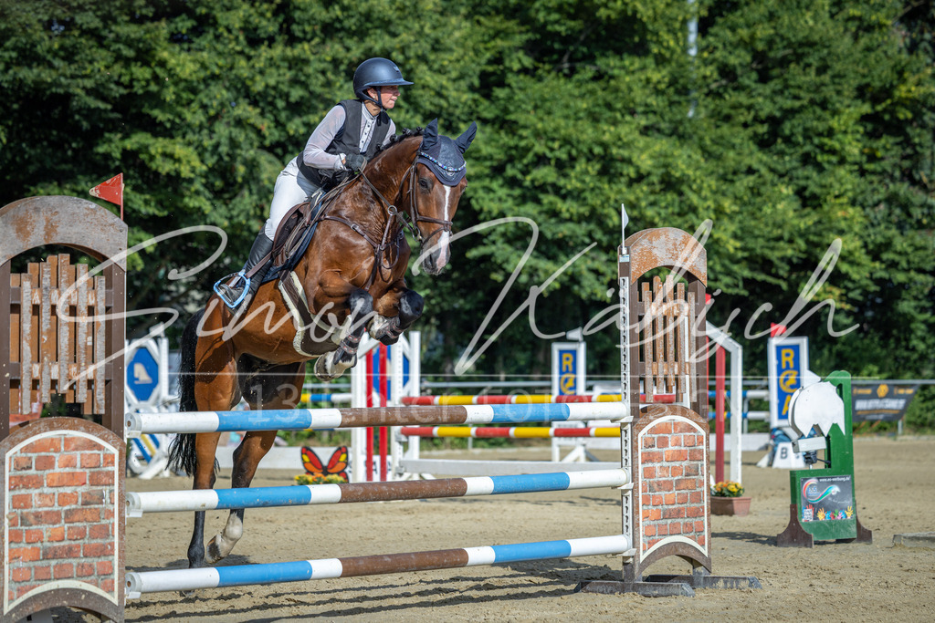 20260704-_3LI2252 | Tierfotografie Pferde, Hunde, Katzen, Haustiere.
Turnierfotografie Reitturniere, Reiten, Springreiten, Dressur in Hanau, dem Main-Kinzig-Kreis und dem Rhein-Main- Gebiet um Frankfurt