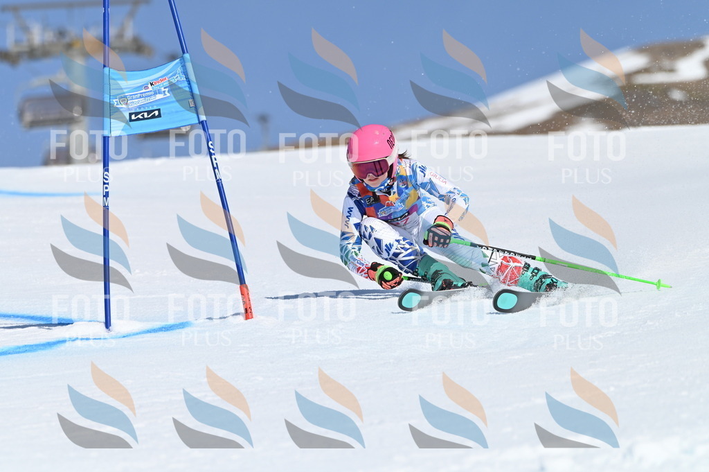 BGV_8669 | holidayphoto