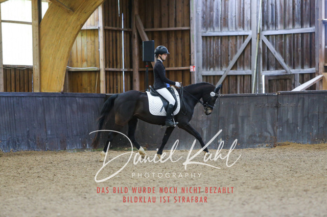 IMG_0392 | Turniersportfotografie; Pferdefotografie; Dressurfotografie
