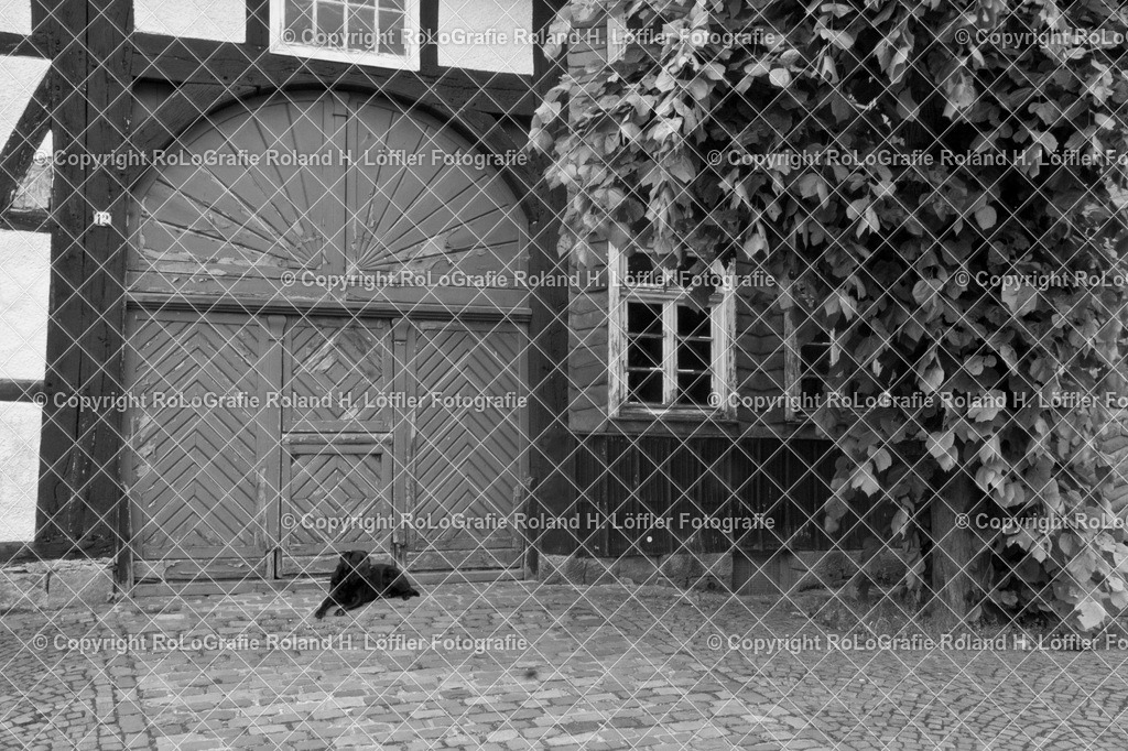 Altes-Haus-04-G | Scheunentor an altem Haus mit Sprossenfenstern, davor liegt ein Labrador - Realisiert mit Pictrs.com