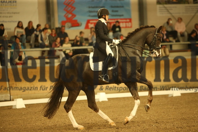 Waghäusel_2022_Prfg.Nr.01_Kurz-GrandPrix_Jasmin Schaudt_Fano 3 (16) | Alle Fotos der Reiterjournal Fotografin Doris Matthaes im Reiterjournal Online-Fotoshop. - Realized with Pictrs.com