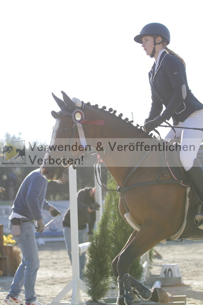 _MG_1267 | equestrian-live-com