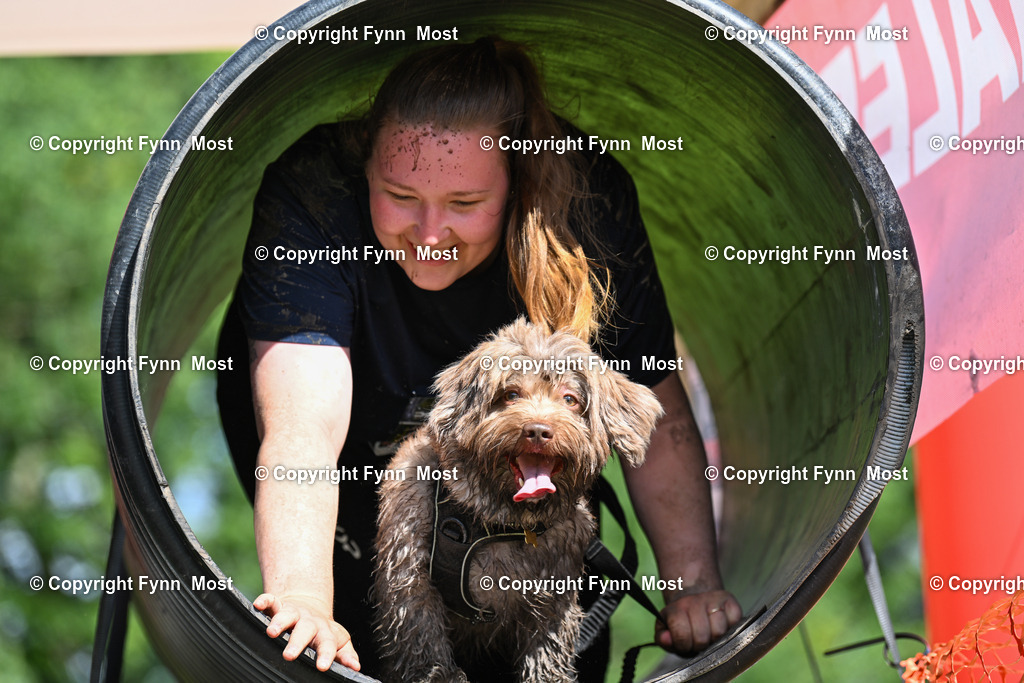 DSC_2391 | Hallo und herzlich Willkommen auf meiner Shop-Seite Fynn Most.

Ich wünsche Dir viel Spaß beim stöbern durch die Bilder, wenn Du Fragen hast oder Bilder vermisst, kannst du mir gerne eine Nachricht schreiben. - Realisiert mit Pictrs.com