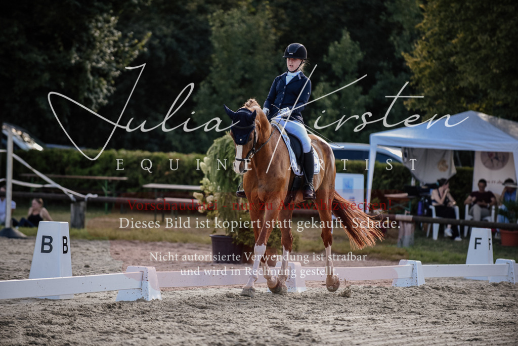 DSC_0513 | Pferde- und Turnierfotografie in Westsachsen. Pferdeportraits, Auftragszeichnungen und intuitive Kunst.