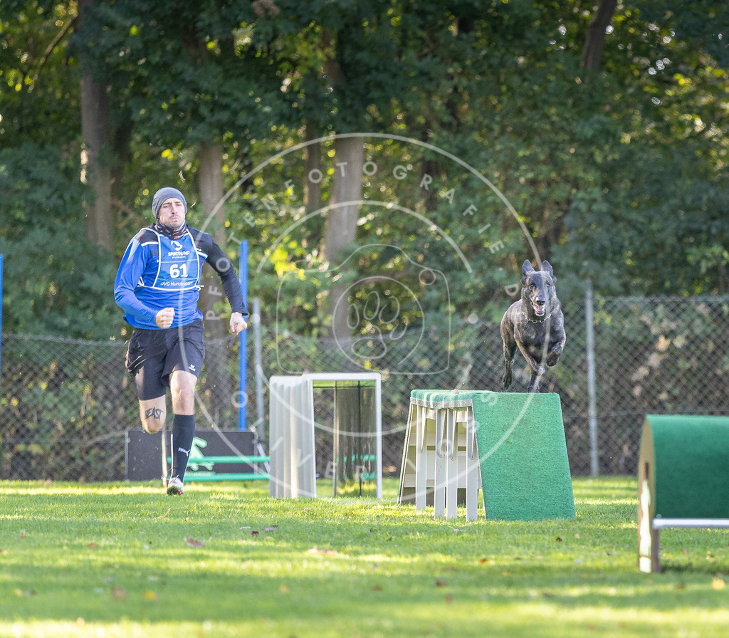 Pfotenfotografie.de_DV3A3612 | Hundefotografie, Tierfotograf, Pfotenfotografie, Fotoshooting Hund, Hunde Portrait, Hundesport, Hundeportraits, Heideshooting, Hunde, Sportfotograf, Hundefotograf, Turnierhundsport, THS, canicross - Realisiert mit Pictrs.com