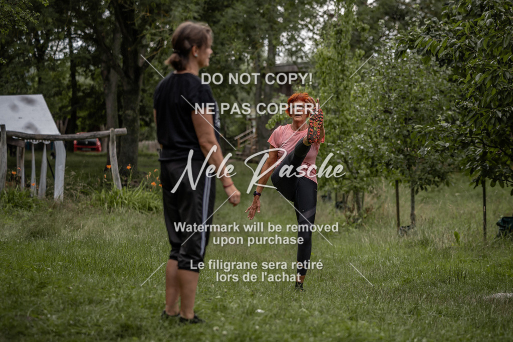 nelerasche_DoN_11 | nelerasche