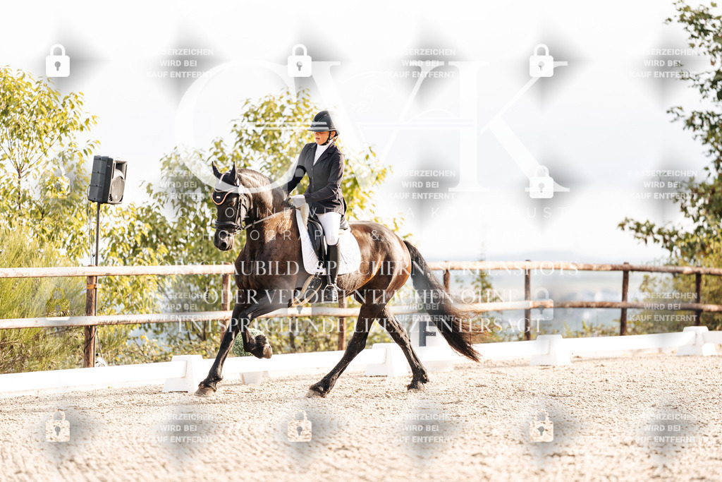 CK900333 | Turnierfotografie Pferdefotografie Trier Rheinland-Pfalz Pferdesport Reitsport Tierfotografie Sportfotografie Pferdevideo Pferdevideografie Equestrianvideography equestrianphotography  - Realisiert mit Pictrs.com