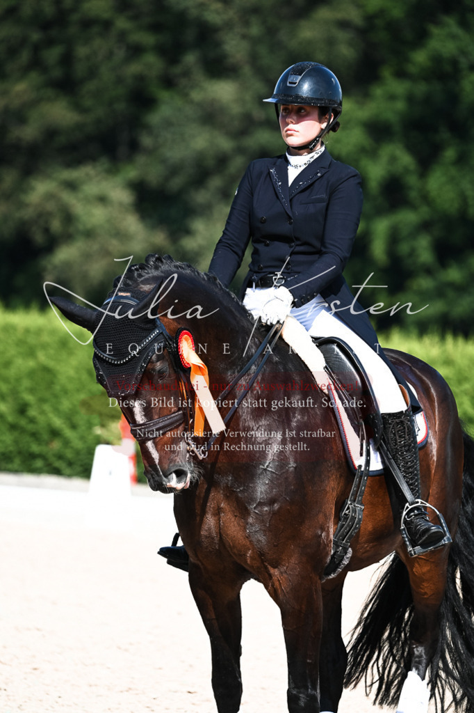 DSC_3422 | Pferde- und Turnierfotografie in Westsachsen. Pferdeportraits, Auftragszeichnungen und intuitive Kunst.