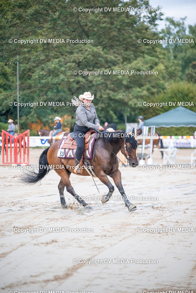 ZS2_4302 | dv-media-shop - Realisiert mit Pictrs.com