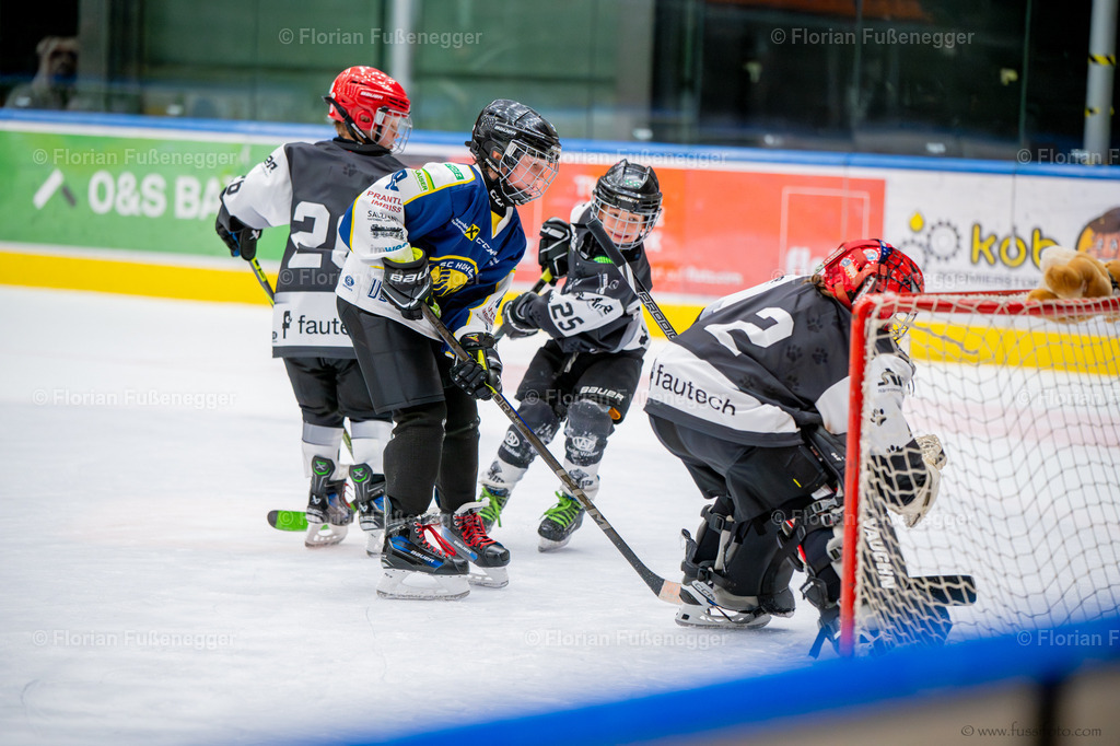 DSC_9426 | "Fussifoto.com – Ihr Ansprechpartner für hochwertige Fotografie! Entdecken Sie kreative Bilder und professionelle Dienstleistungen. Kontaktieren Sie uns für Ihre Projekte!"