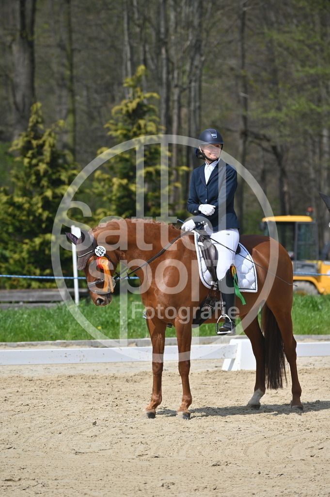 DSC_1505 | sattelsport - Realisiert mit Pictrs.com